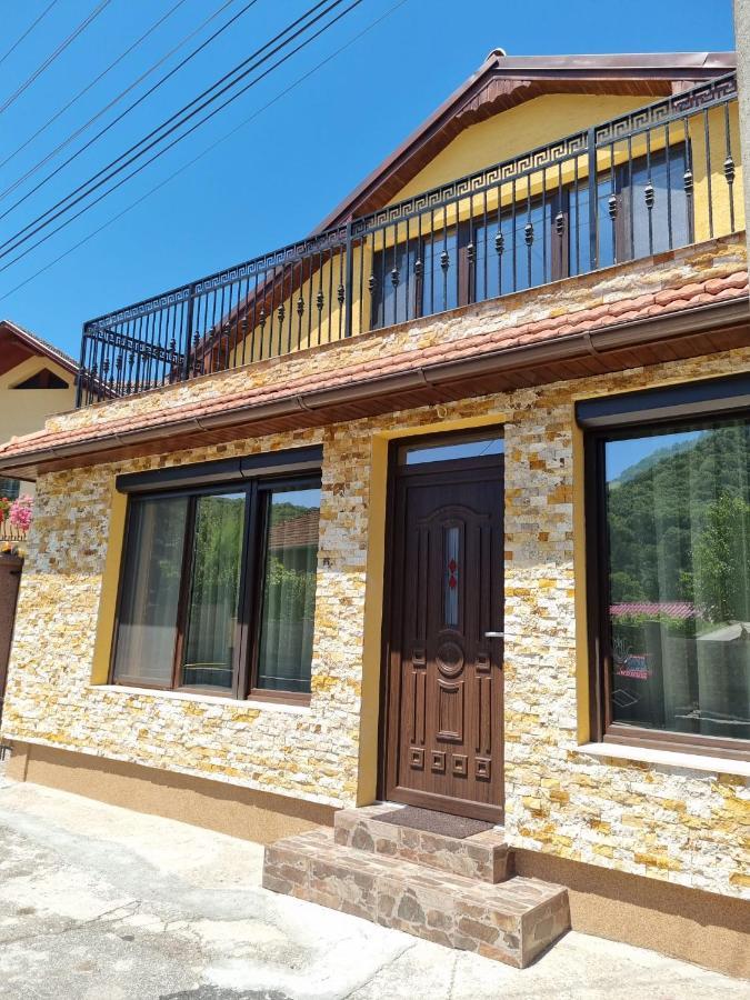 Casa De Oaspeti Minerva 德瓦 外观 照片